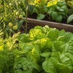 Stardew Valley Spring Crops Guide: Best Picks for Maximum Profit — FarmVilleFreak guide