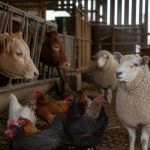 20 Best Cozy Games Like Animal Crossing in 2026 — FarmVilleFreak guide