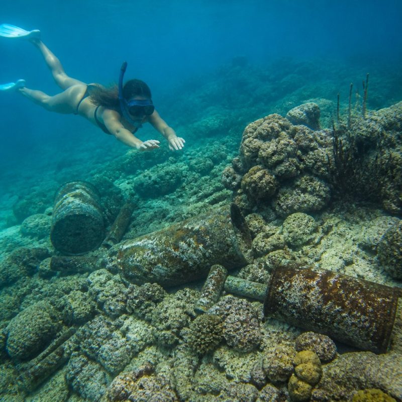player character diving underwater near polluted coral reef